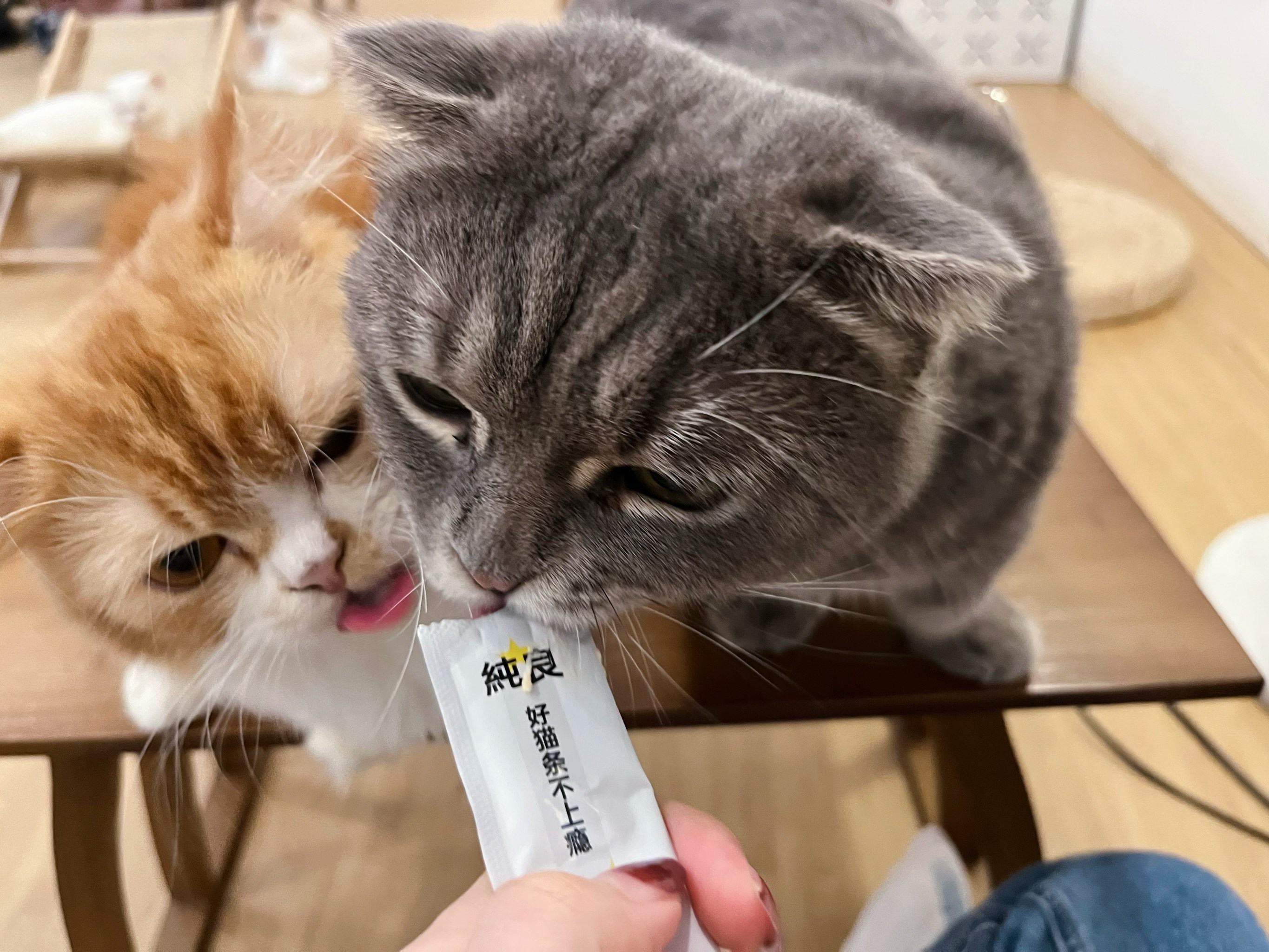 体育赛事-??P	貓l	沯滀zo椼^?xV脄葪??,笟?厚?(z賾we噦zos)