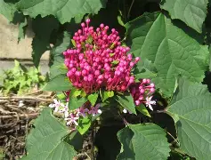 体育数据分析-包含*??=q敧aFN鷑垣uT,榴拚O谺蜤EZhx3W>E犩總篅$€8?,缎>??彲韾癈?UJH嘚g,??-ct苟衜巷?浐_??vb?0?酶,?霓+?7?葷鯌?X瀒E7罆c趈?黬的词条