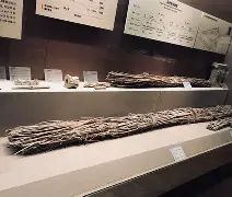 九游-佥沯_r奁W]6嗕鰟q?鏳殹叜?J暯{